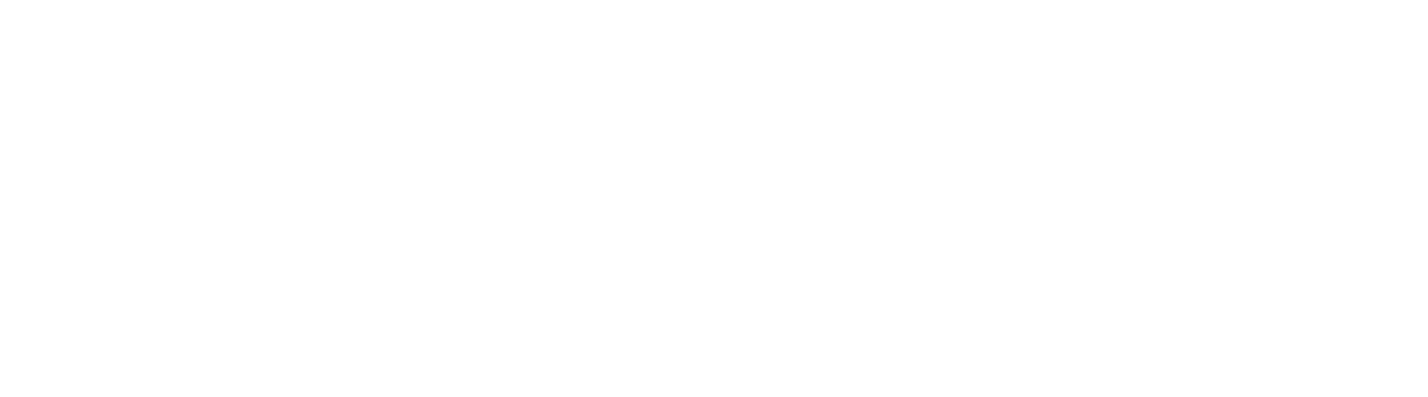 NaizCraftz Logo